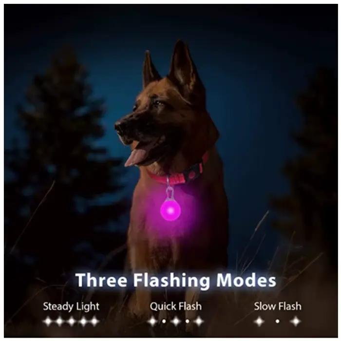 Collier lumineux LED réglable pour chien, Recharge USB, clignotant, Anti-perte/éviter les accidents 