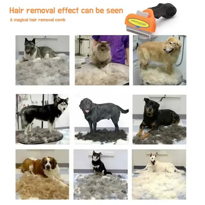 Brosse de toilettage pour chats et chiens, peigne anti-poils, brosse de massage pour chats, brosse d