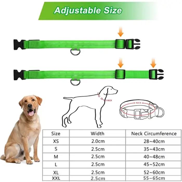 Collier lumineux LED réglable pour chien, Recharge USB, clignotant, Anti-perte/éviter les accidents 