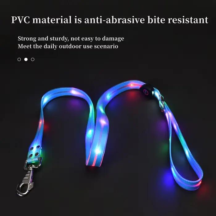 Collier lumineux pour animaux de compagnie, laisse LED clignotante, chargement USB, ceinture de trac