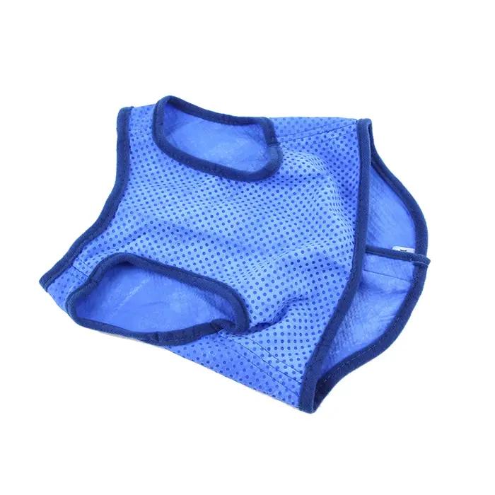 Glace rafraîchissante pour chien, respirante, pour l'été, pour animal de compagnie, SFP, portable, r