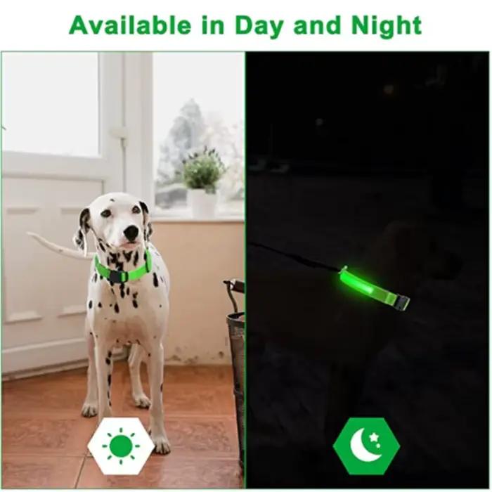 Collier lumineux LED réglable pour chien, Recharge USB, clignotant, Anti-perte/éviter les accidents 