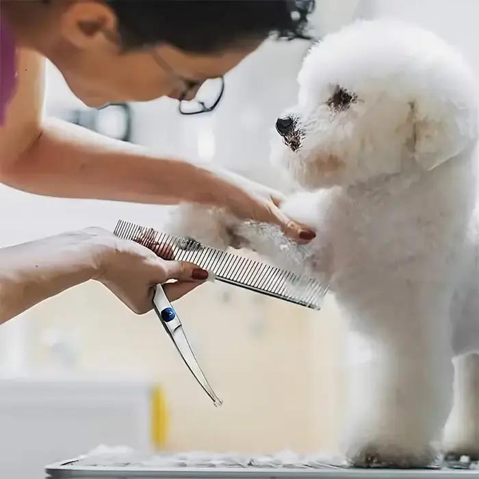 Ciseaux de toilettage professionnels sûrs et précis pour animaux de compagnie avec tête ronde - Cise