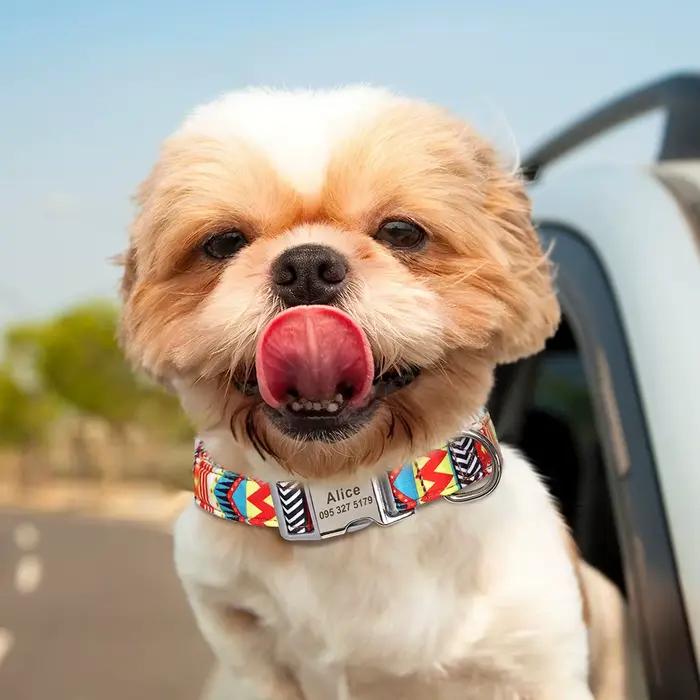 Collier en nylon personnalisé avec nom gravé pour animal de compagnie, collier pour chiot, identific