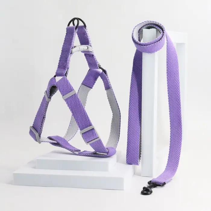 Une laisse pour chien harnais bicolore pour chien pour usage intérieur et extérieur