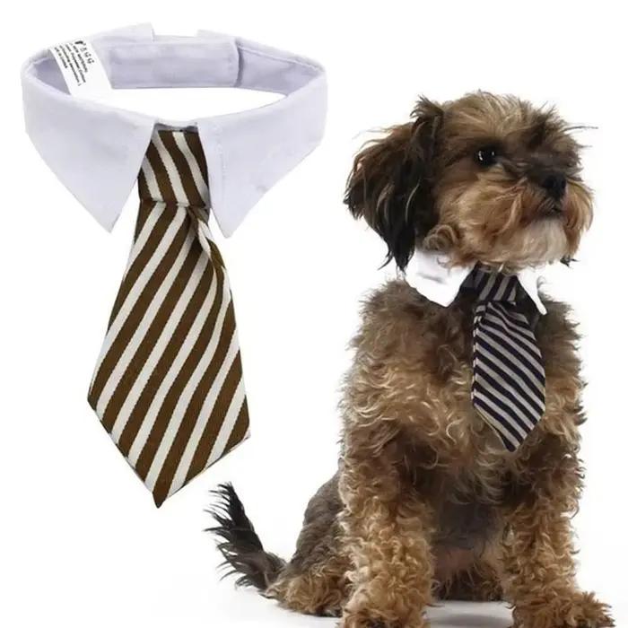 2023 chien chat toilettage chat rayé noeud papillon Animal rayé noeud papillon collier animal de com