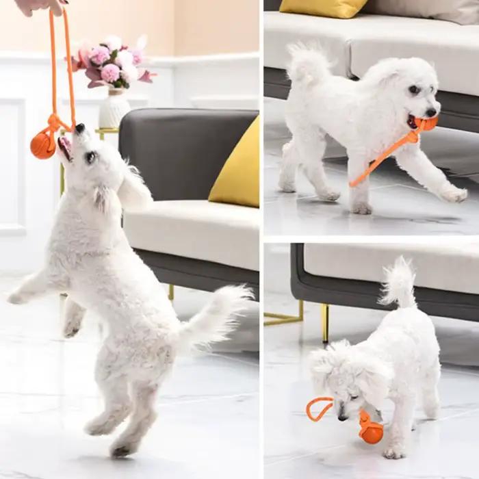 Jouets de balle pour chien, balle en caoutchouc gonflable, jouets à mâcher, balle de jouet pour chie