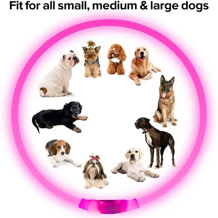 Collier de chien Led Usb collier de Charge lumineux de nuit pour chien de compagnie Led sécurité noc