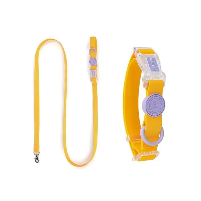 Collier de chien étanche, ensemble de laisse pour chien de compagnie, collier pour chiot avec anneau