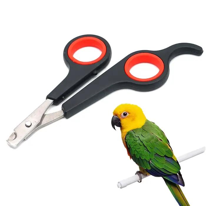 Animal de compagnie oiseau perroquet petits animaux accessoire outil de toilettage ciseaux à ongles 