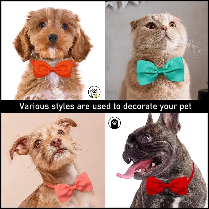 Accessoires pour chiens, nœud papillon réglable pour petit chien et chat, couleur unie, Style à pois