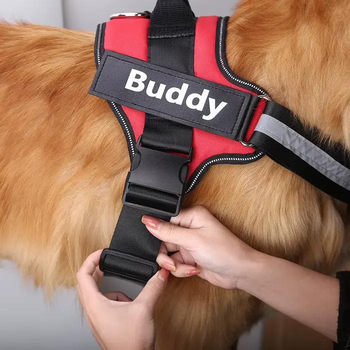 Gilet harnais pour chien respirant et réfléchissant personnalisé, harnais réglable pour animaux de c