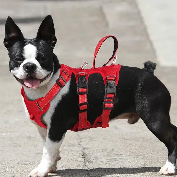 Harnais imperméable pour chien, boucle sûre, rembourré, réfléchissant, en Nylon, gilet pour chiens, 