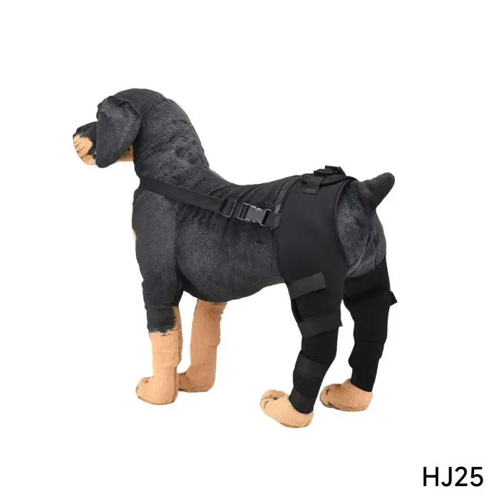 Attelle de soutien réglable pour genou de chien âgé, protège-arthrose pour pattes arrière, idéale po