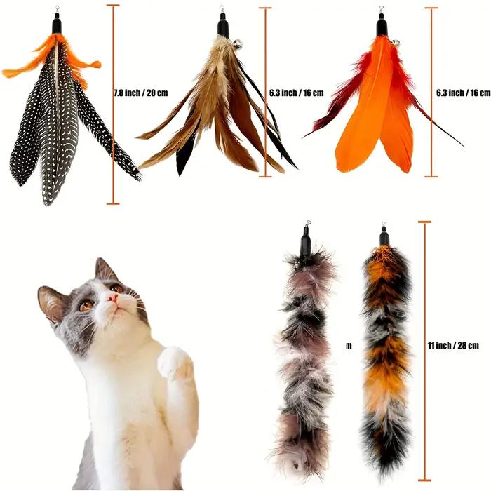 6 pièces jouet pour chat plume remplacement baguette pour chat recharges plumes d'oiseau naturelles 