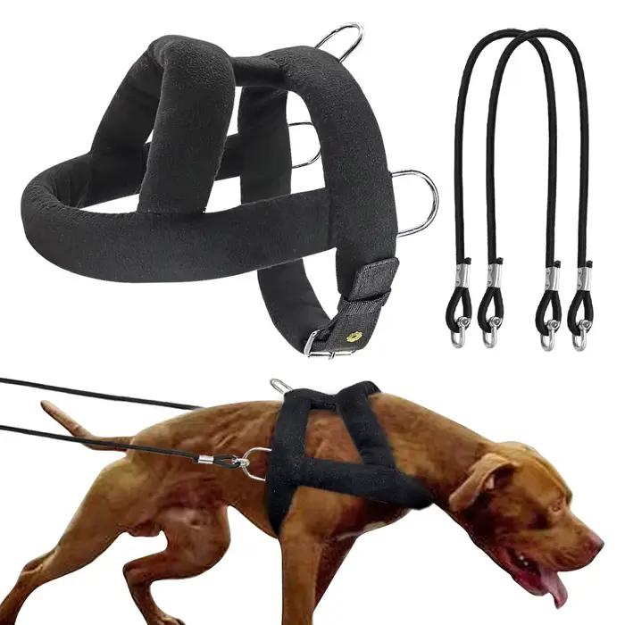Harnais d'entraînement de traction de poids réglable pour chien, laisse de traction pour chiens de t