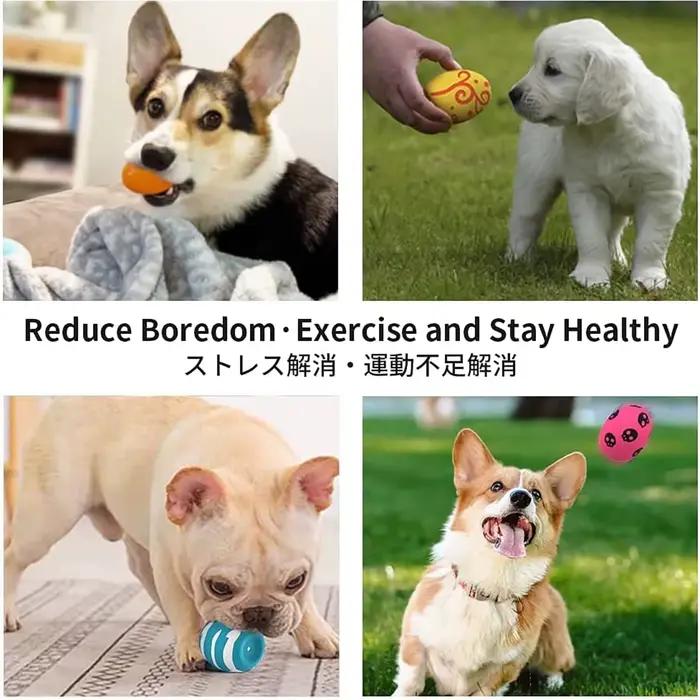 SCGK oeuf gonflable chien jouets balle drôle grinçant Latex oeuf gonflable avec couineur pour chiot 