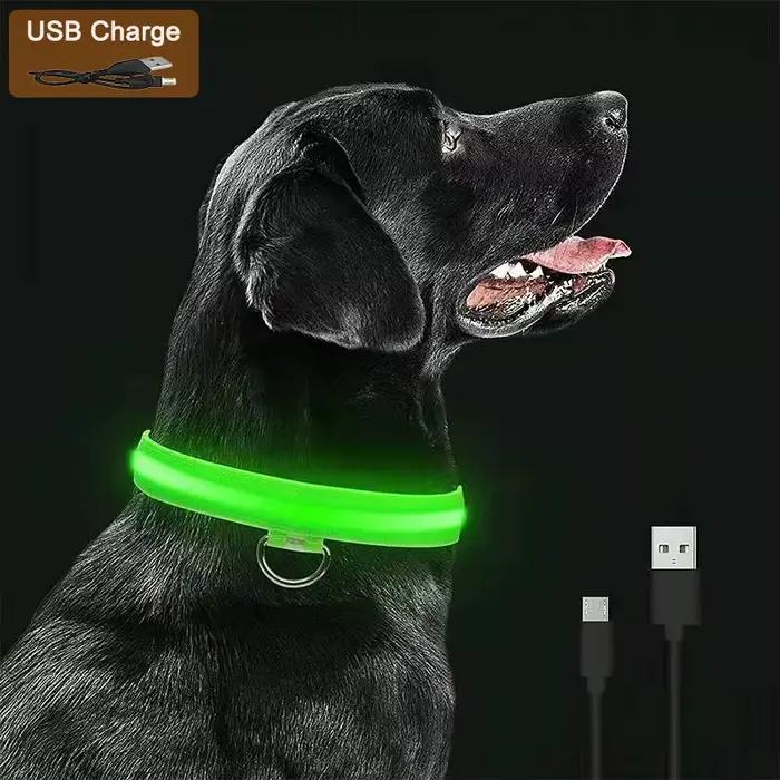 3 Modes chien collier de Charge lumineux Led Usb chat chiens colliers détachable nuit Led lueur chie