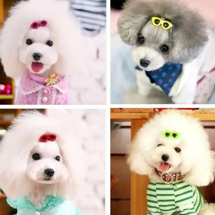 Pinces à cheveux en plastique pour animaux de compagnie, 10 pièces, épingle à cheveux en forme de lu