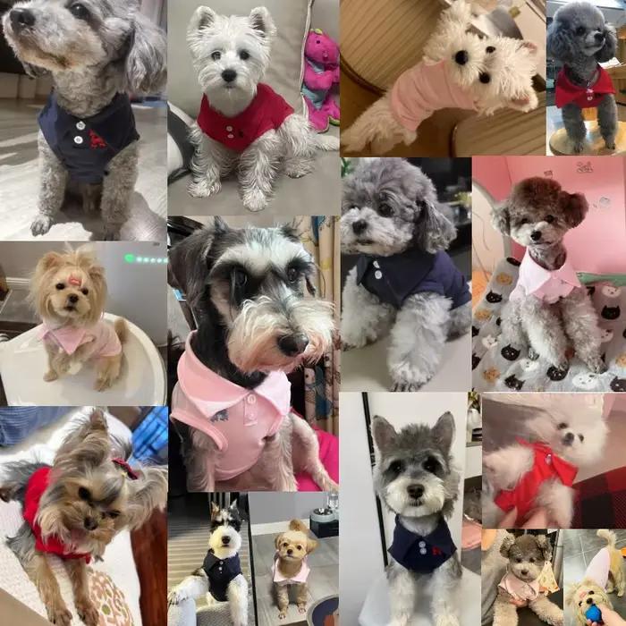 Polo pour chien, vêtements Cool, doux et respirant, Yorkie, Chihuahua, chiot, gilet pour petits et m