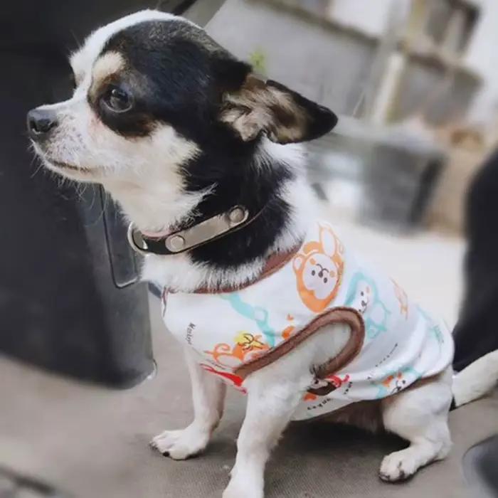 T-Shirt d'été fin et respirant pour chien de petite et moyenne taille, imprimé dessin animé mignon, 