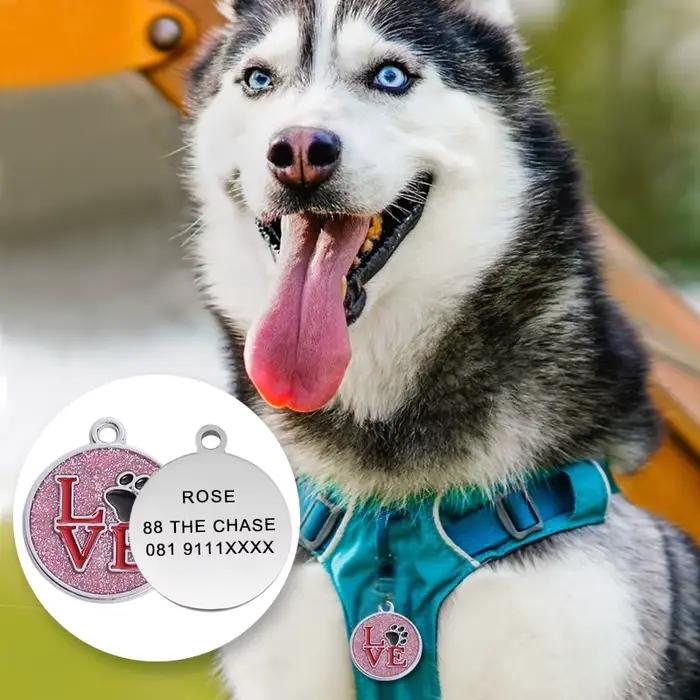 Étiquettes d'identification pour chien et chat, accessoires de décoration, étiquettes d'identificati