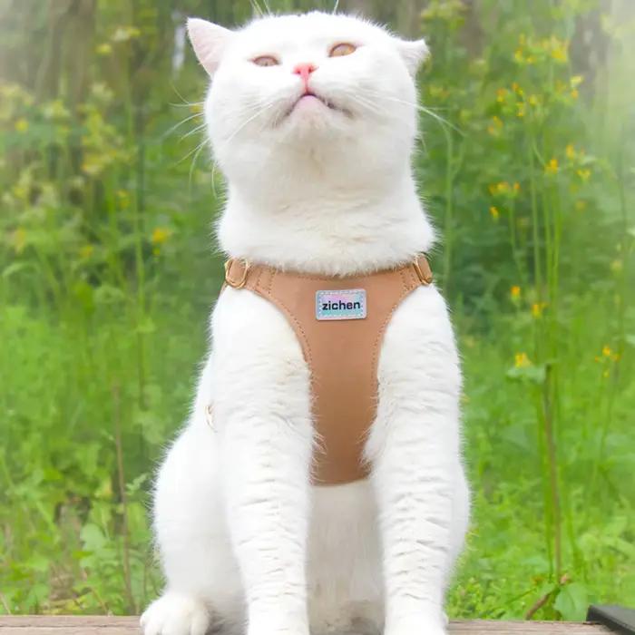 Harnais pour chiot XXS sans traction, avec laisse multifonction pour chien, doux et réglable, sans s