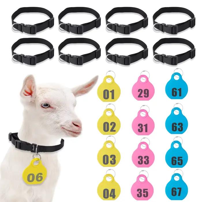 Collier en Nylon réglable pour animaux de compagnie, étiquette volante avec numéro de série Double f