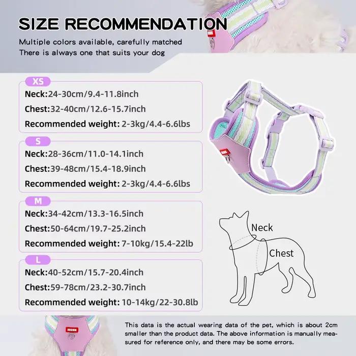 Harnais bloc de couleur pour petits chiens, marche, maille Corgi respirante, collier pour animaux de