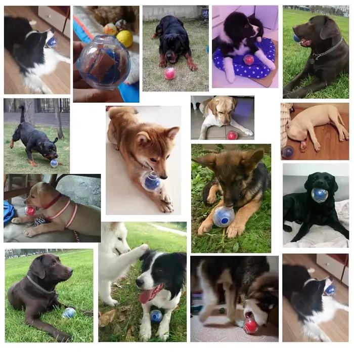 CAITEC – jouet pour chien, incroyable boule couineuse, Durable, flottant, élastique, résistant aux m