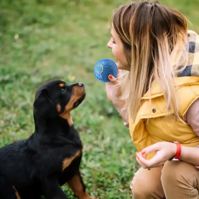 Jouet pour chien, balle d'enrichissement pour chiens