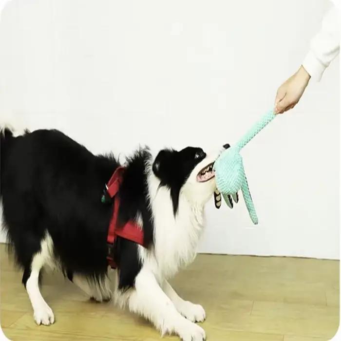 Jouet en peluche anti-démolition pour animal de compagnie