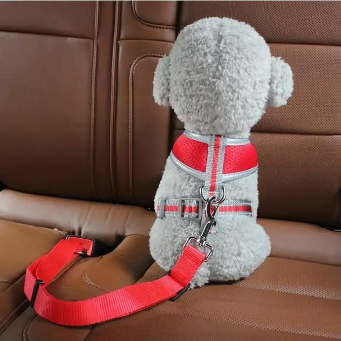 Harnais de sécurité pour chat et chien