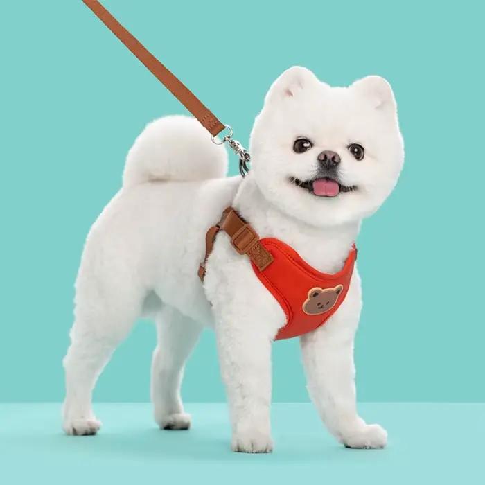 Harnais créatif et mignon pour animaux de compagnie
