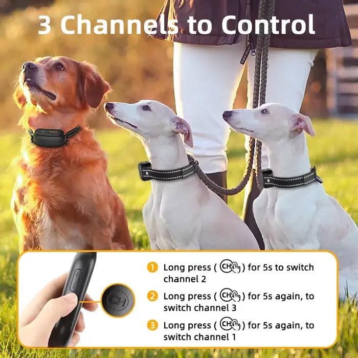 ROJECO collier d'entraînement électrique pour chien 3300 pieds