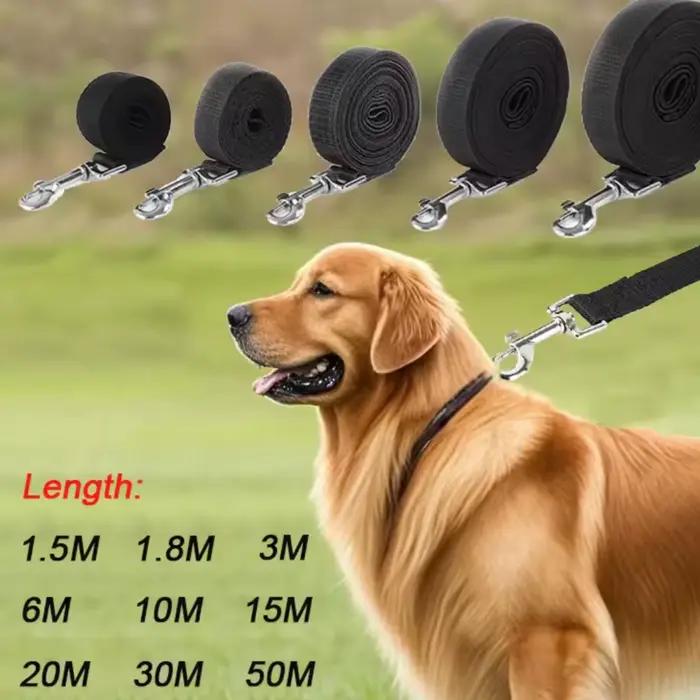 Laisse longue pour chiens de 1,5 m à 50 m, laisse extra-longue pour chiot, corde en nylon pour l'entraînement en extérieur, accessoires pour chiens, laisses de contrôle étendues