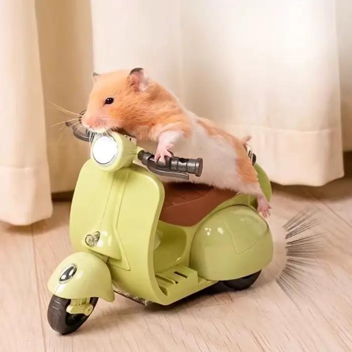 Jouet pour animaux de compagnie Mini moto vélo électrique