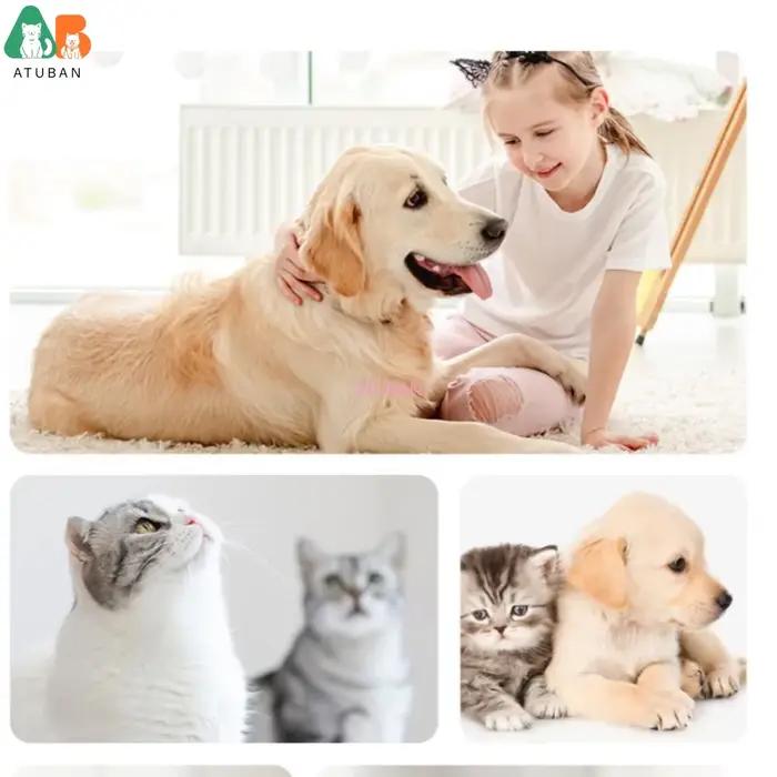 ATUBAN-Shampooing et Après-Shampooing pour Chien Hypoallergénique, Lavande Royale, Probiotique pour Animaux de Compagnie, pour Chiens Parfumés