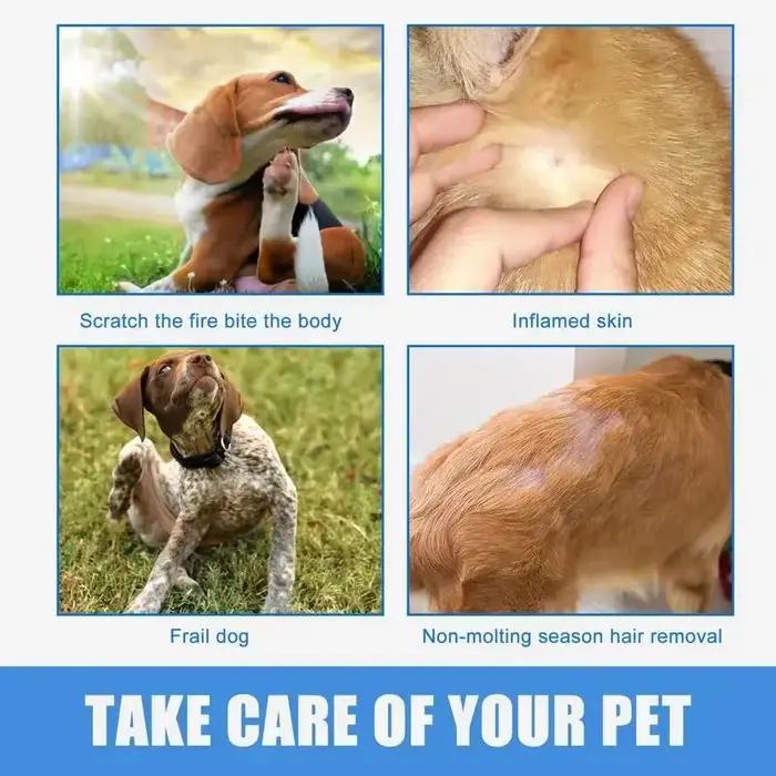 Spray anti-démangeaison et anti-démangeaison pour animaux de compagnie