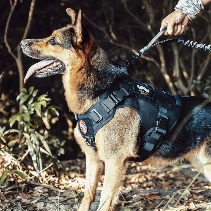 Harnais pour chien, harnais tactique pour chien avec poignée