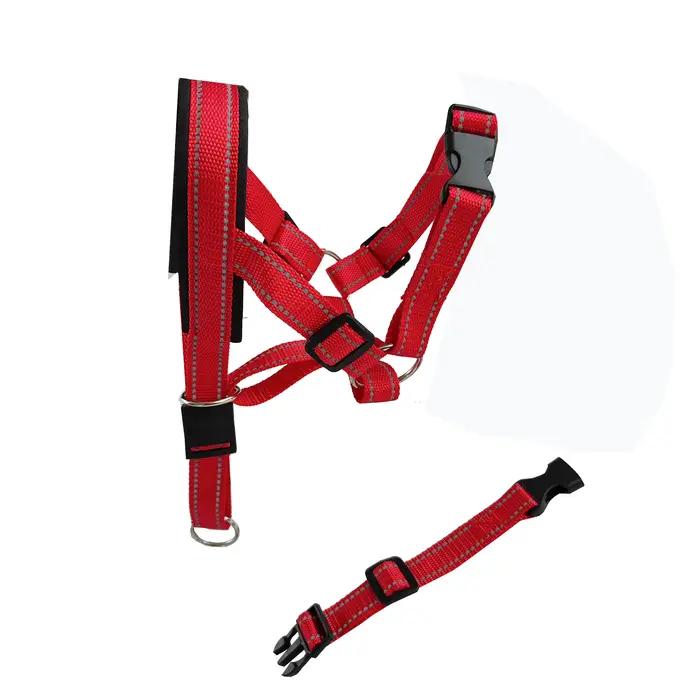 Muselière pour chien, Cage pour chien