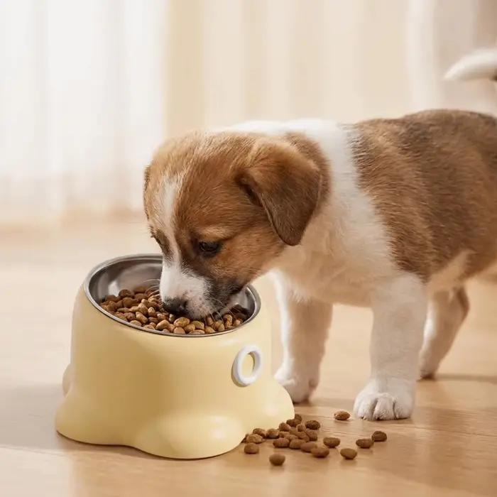 Bol pour animaux de compagnie en acier inoxydable