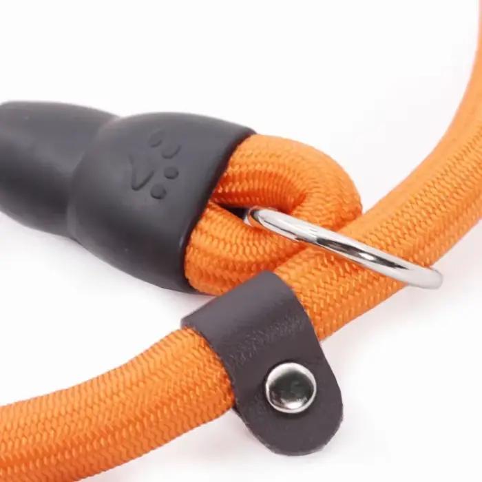 Collier de chien chaîne P