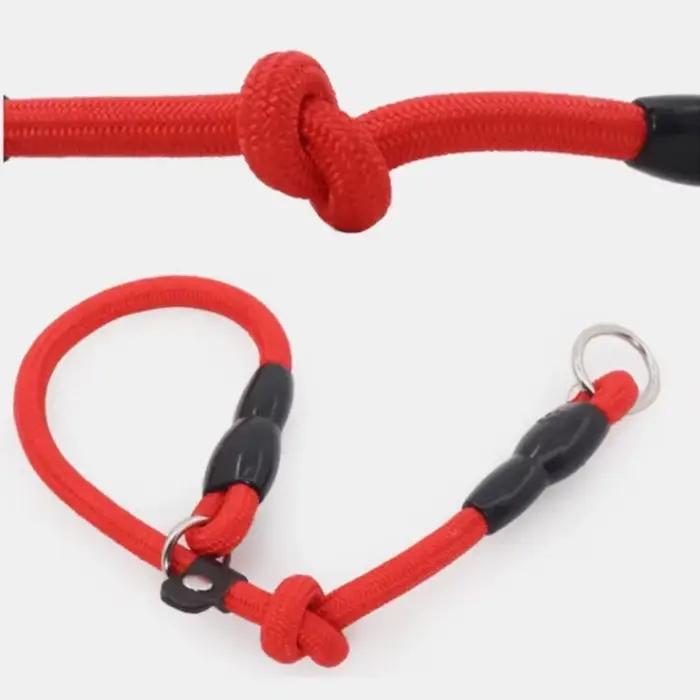 Collier de chien chaîne P