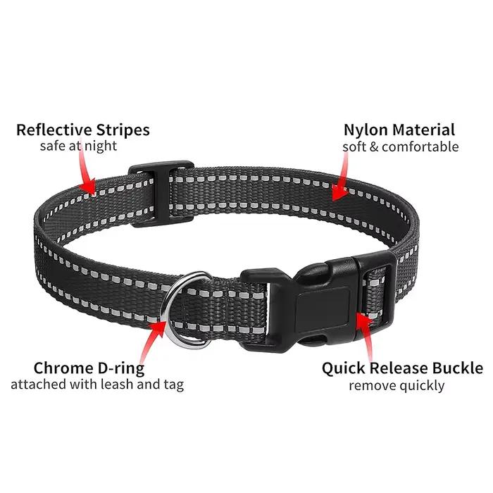 Sangle de remplacement pour collier de chien