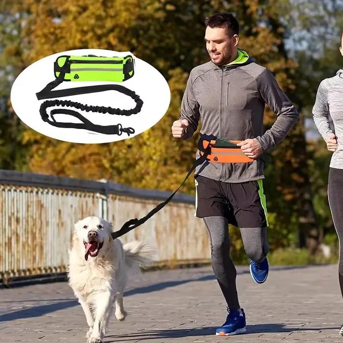 Laisse pour chien mains libres pour la course à pied