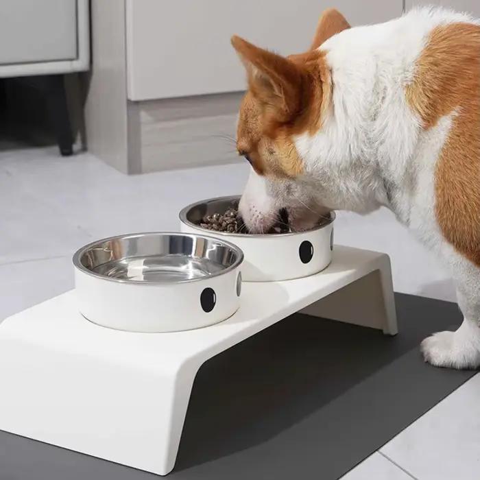 Bols surélevés pour animaux de compagnie avec support surélevé et double