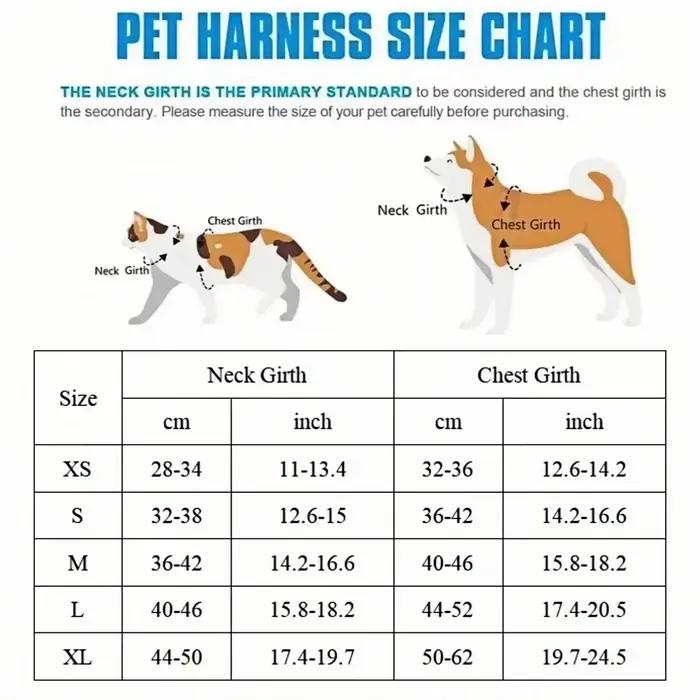 Ensemble de harnais et laisse pour chien