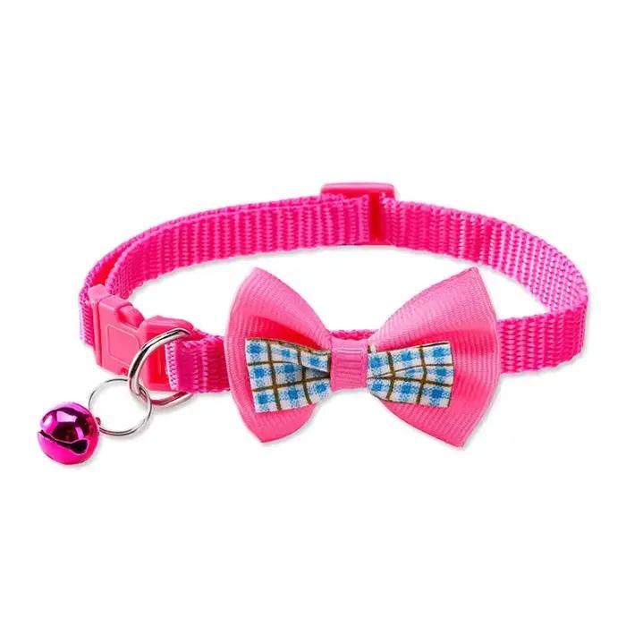 Collier pour chien mignon