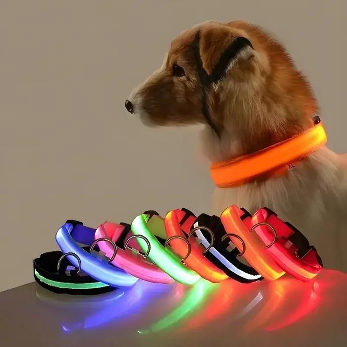 Collier pour chien en nylon LED